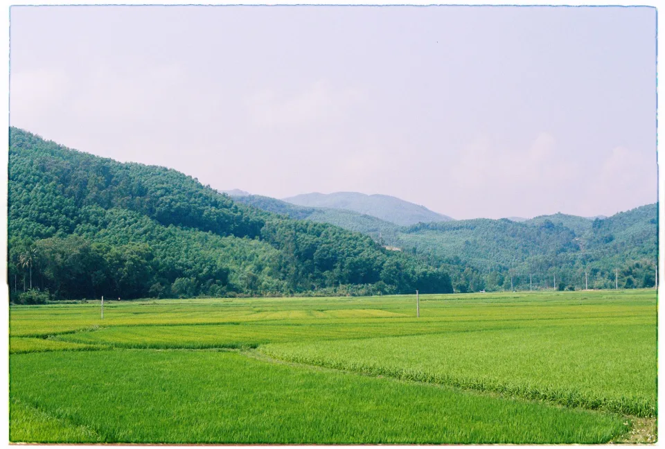 Xe giao gạo